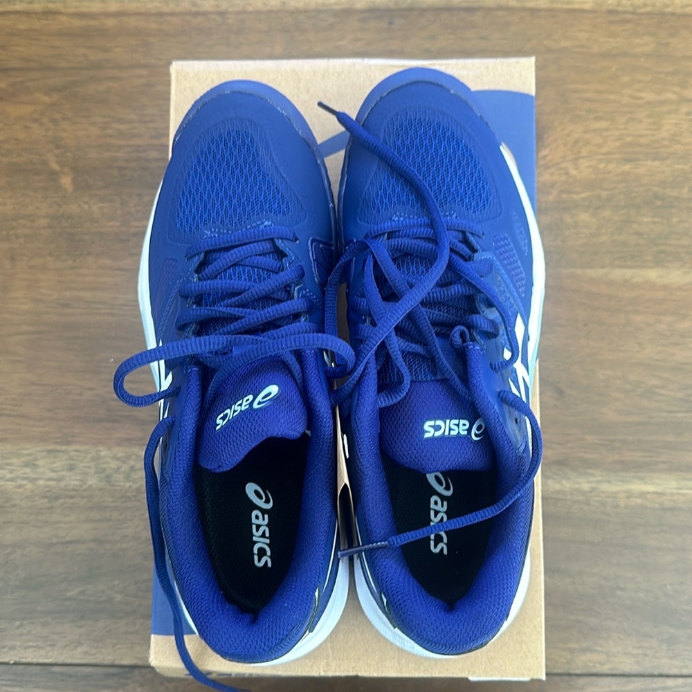 Asics Royal Blue Athletic Running Shoes